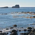 Cambria_2015_0165 (November 07, 2015)